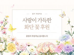 화단에 봄이 피었어요! 꽃 후원!